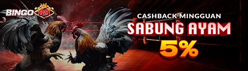 MENANG BERUNTUN - Bonus Cashback 125% (Sabung Ayam)